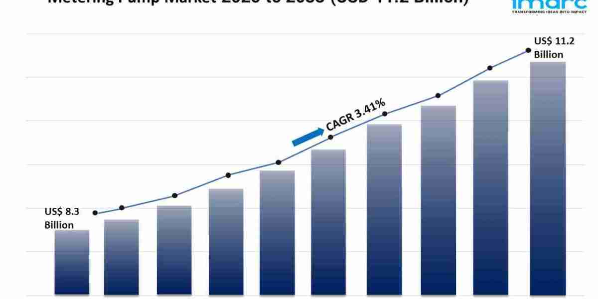 Metering Pump Market Growth, Share and Demand Forecast 2025-2033