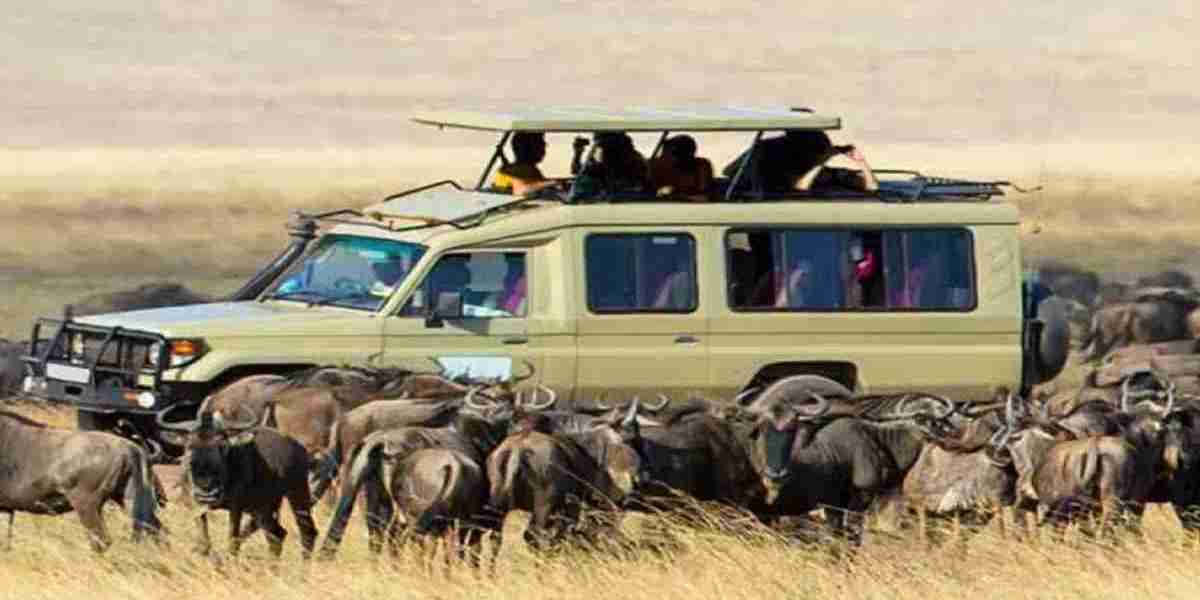 The Top Tanzania Tour Operators You Need to Know for a Luxury Safari Experience