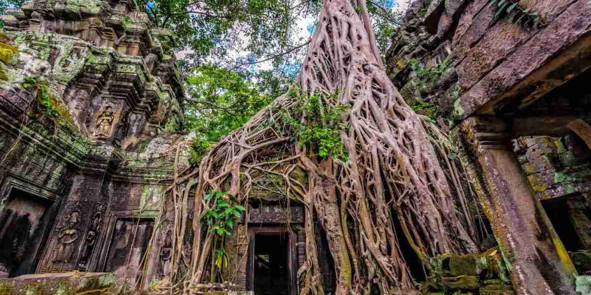 FROM JAPAN -  - CAMBODIA Easy