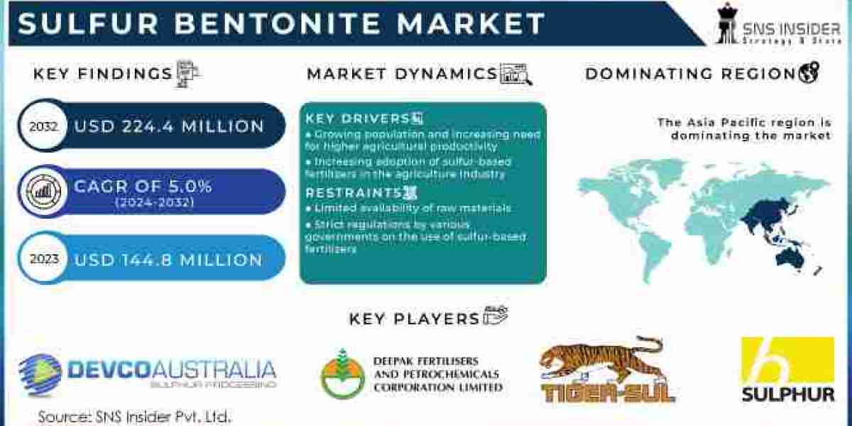 Sulfur Bentonite Market Insights: Demand, Segmentation, and Opportunities