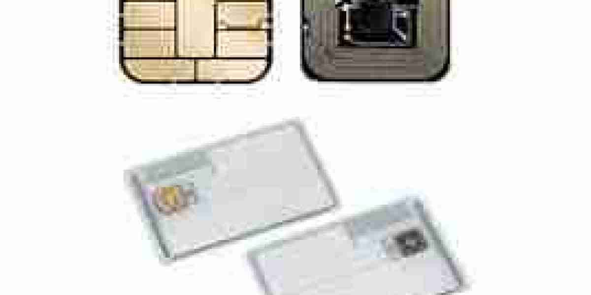 Dual Interface Payment Card Market Rewriting Long Term Growth Story