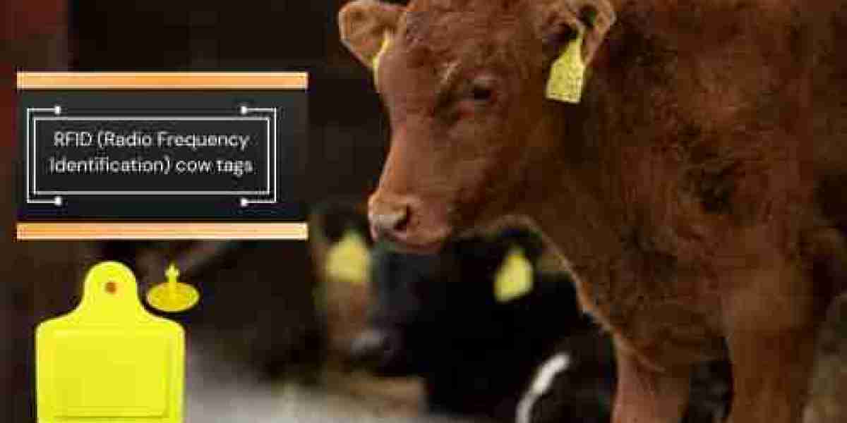 Economic Benefits of RFID Cow Tags: Cost Analysis and ROI for Farmers