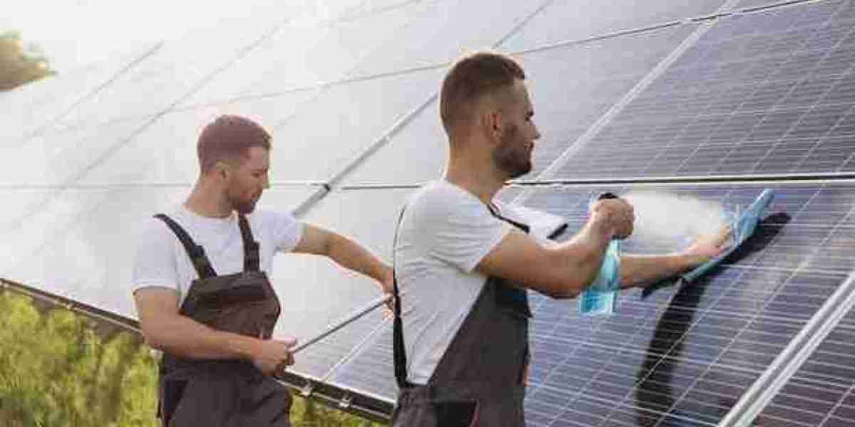 Key Insights into the Solar Panel Cleaning Market: Trends and Innovations Shaping the Future of Renewable Energy